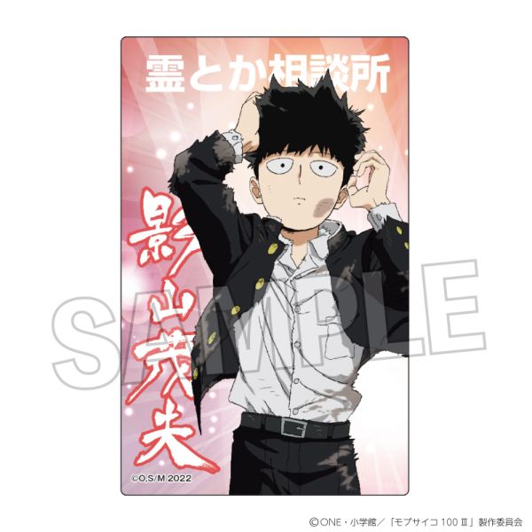 ���u�T�C�R100 III �A�N�����J�[�h �e�R�Εv�i����!!�j