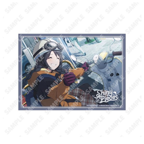 �A�C�h���}�X�^�[ �V���C�j�[�J���[�Y ���^���v���[�g �O�􌋉�