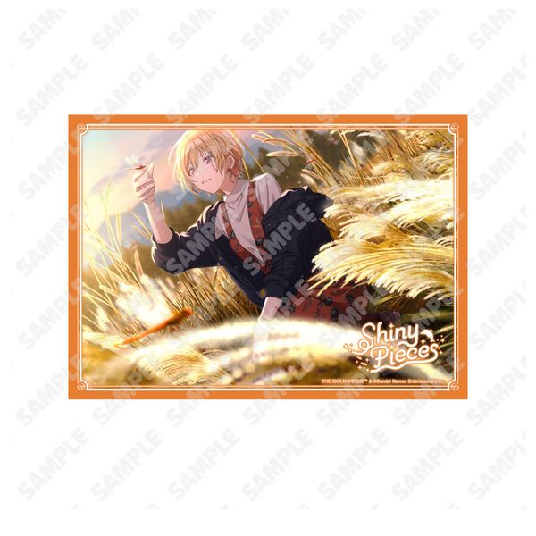 �A�C�h���}�X�^�[ �V���C�j�[�J���[�Y ���^���v���[�g �������