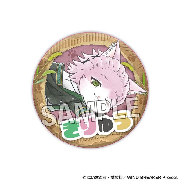 WIND BREAKER �E�B���h �u���C�j���[ �M���M���ʃo�b�W �ː��O�P