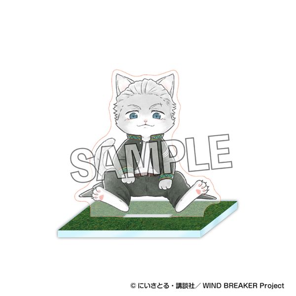 WIND BREAKER �E�B���h �u���C�j���[ ��n�ȃA�N�����X�^���h �~�{��