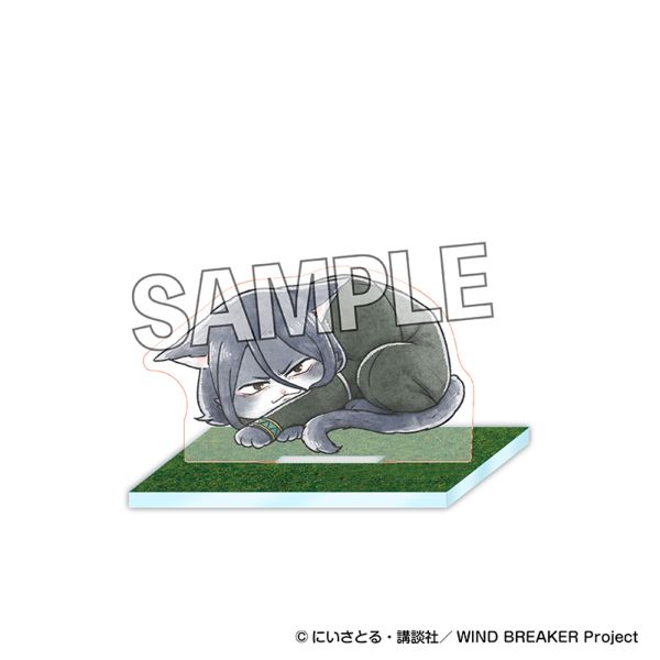 WIND BREAKER �E�B���h �u���C�j���[ ��n�ȃA�N�����X�^���h ���������Y