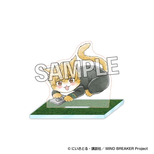 WIND BREAKER �E�B���h �u���C�j���[ ��n�ȃA�N�����X�^���h ����H�F