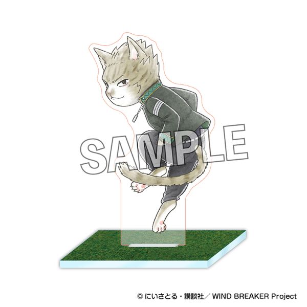 WIND BREAKER �E�B���h �u���C�j���[ ��n�ȃA�N�����X�^���h �A�o�n