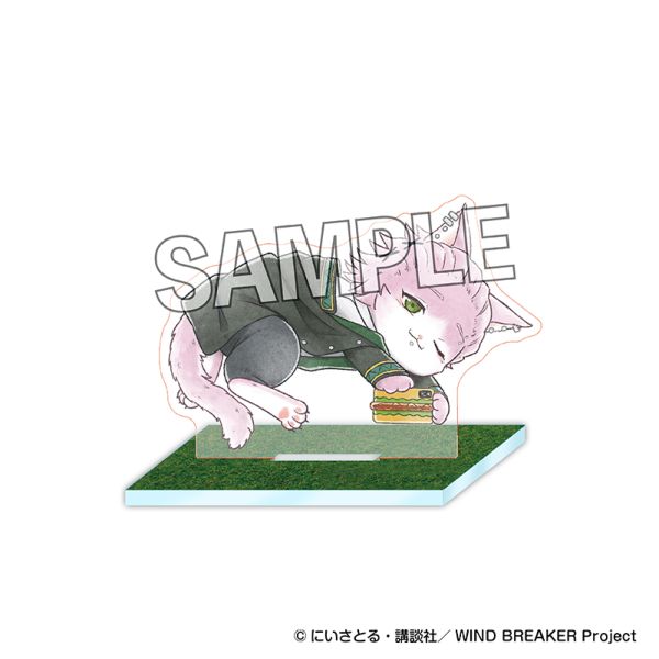 WIND BREAKER �E�B���h �u���C�j���[ ��n�ȃA�N�����X�^���h �ː��O�P