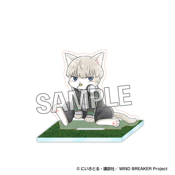 WIND BREAKER �E�B���h �u���C�j���[ ��n�ȃA�N�����X�^���h ���@