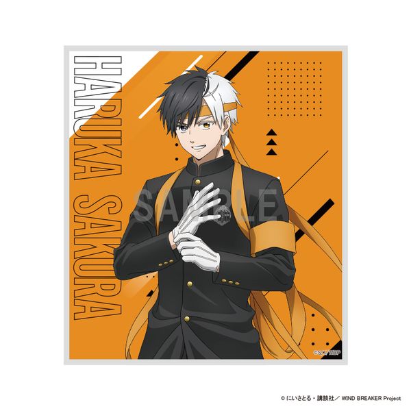 WIND BREAKER �~�j�F�� ���y �����cver