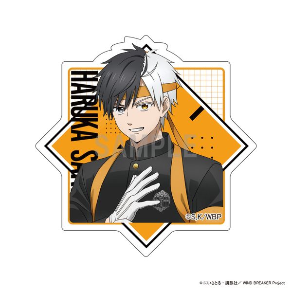 WIND BREAKER �A�N�����}�O�l�b�g ���y �����cver