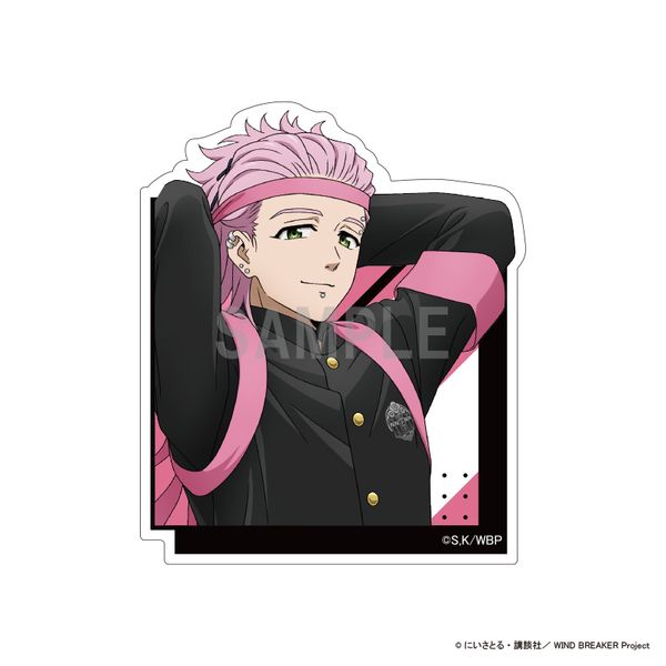 WIND BREAKER �_�C�J�b�g�X�e�b�J�[ �ː��O�P �����cver