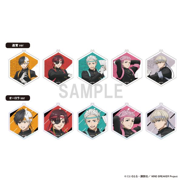 WIND BREAKER �A�N�����L�[�z���_�[�R���N�V���� �����cver �y1BOX�z