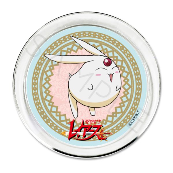 ���@�R�m���C�A�[�X �A�N�Z�T���[�v���[�g D ���R�i