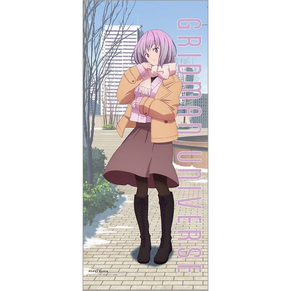 グッズ: グリッドマン ユニバース 描き下ろし特大タペストリー