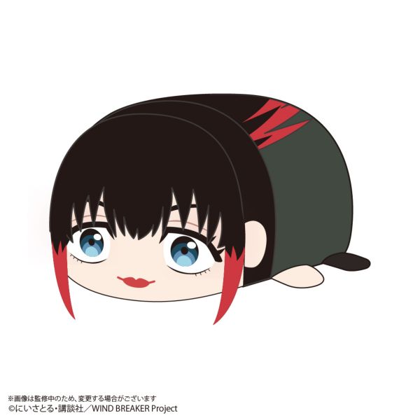 WIND BREAKER �ۂăR���}�X�R�b�gMsize3 E�F�֖�C