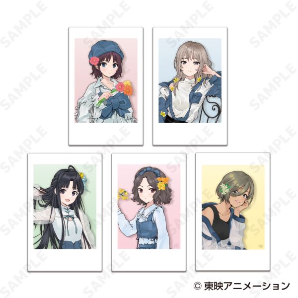 �K�[���Y�o���h�N���C ���A���t�B�����t�H�g denim style �y1BOX�z