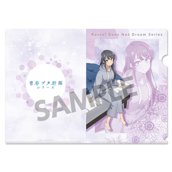 【希少品】氷菓 青春クリアファイルセット 希少品】氷菓 青春クリアファイルセット （希少品】氷菓 青春