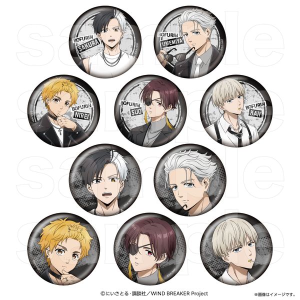 WIND BREAKER �L�����o�b�W�R���N�V���� ���b�N���U�[ �y1BOX�z