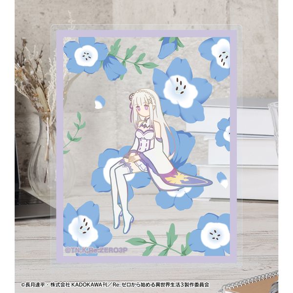 LL画像2