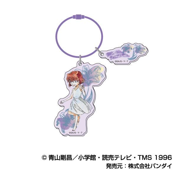 LL画像1