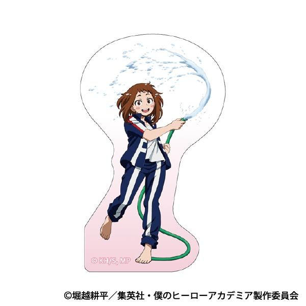 �l�̃q�[���[�A�J�f�~�A �X�e�b�J�[ ��������q