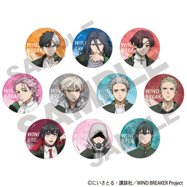 WIND BREAKER �g���[�f�B���O�ʃo�b�W �y1BOX�z