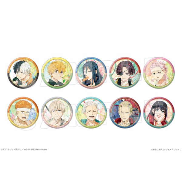 WIND BREAKER �g���[�f�B���O�z���O�����ʃo�b�W �y1BOX�z