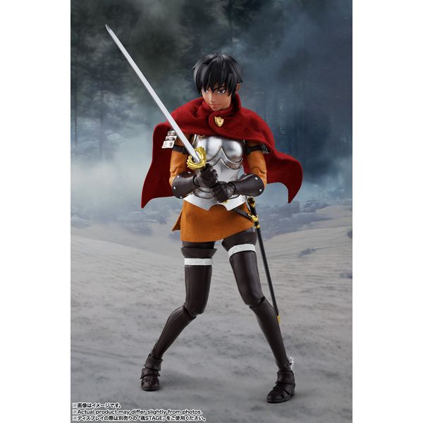 フィギュア: ベルセルク S.H.Figuarts キャスカ（鷹の団