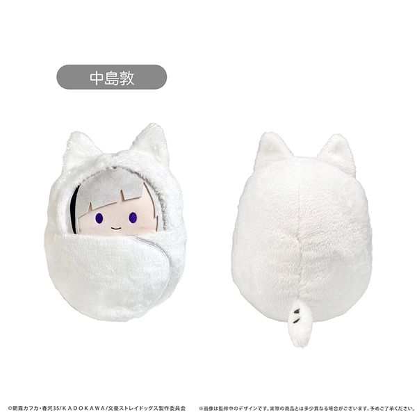 LL画像1