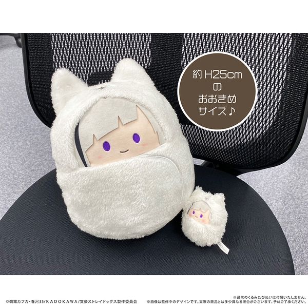 LL画像3