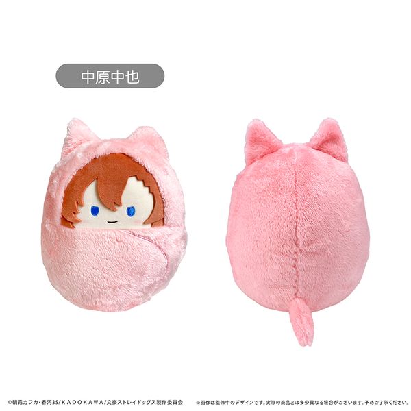 LL画像1