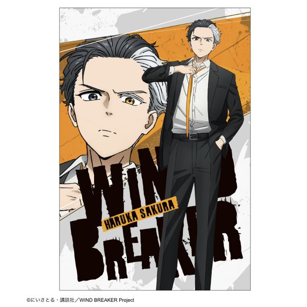 WIND BREAKER 桜遥 ポストカード グッズ: WIND BREAKER ポストカード スーツver 桜遥: サイバー