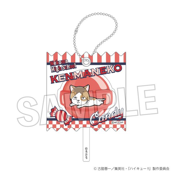 ハイキュー!! ラッピングアクリルキーホルダー ケンマネコ