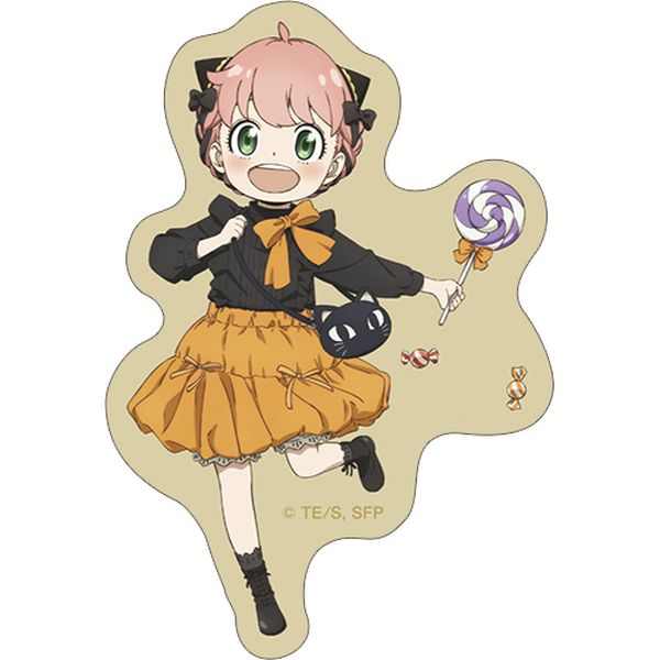 LL画像1