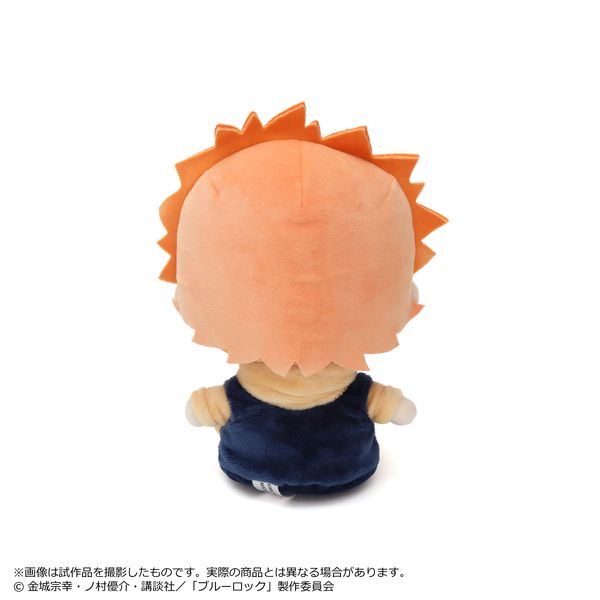 LL画像2