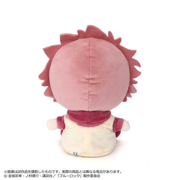 LL画像2