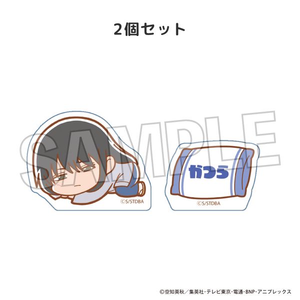 LL画像1
