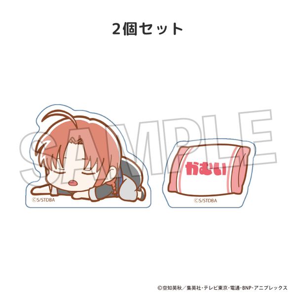 LL画像1