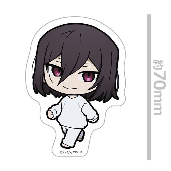 LL画像2