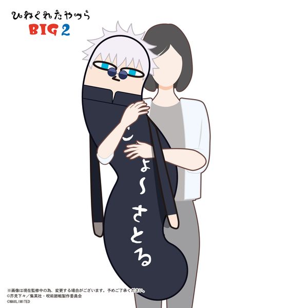 LL画像2