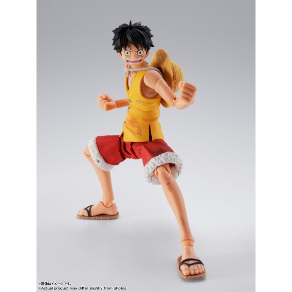 ONE PIECE S.H.Figuarts L[EDEtB -}tH[h㌈-