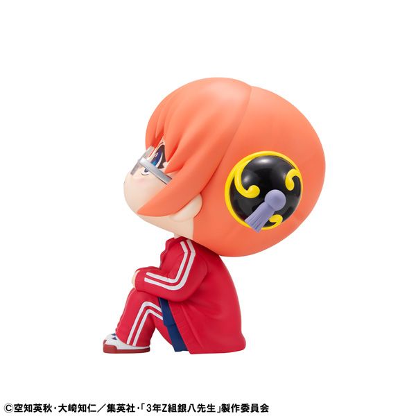 LL画像5