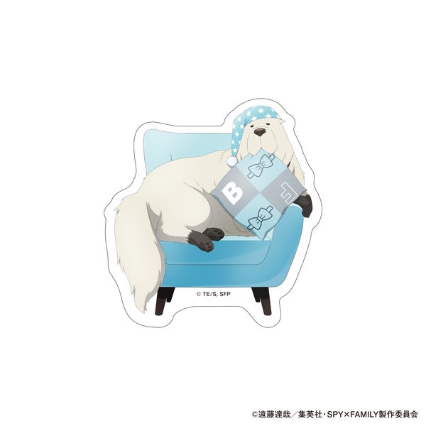 LL画像1