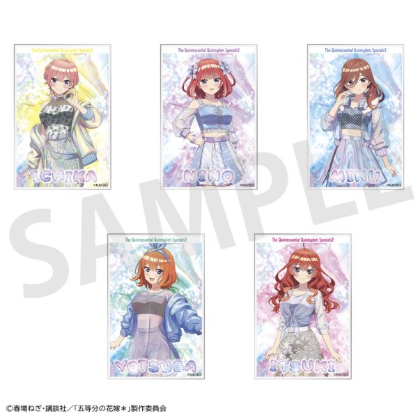 yʔ́z ܓ̉ԉŁ g[fBOANJ[h y1BOXz