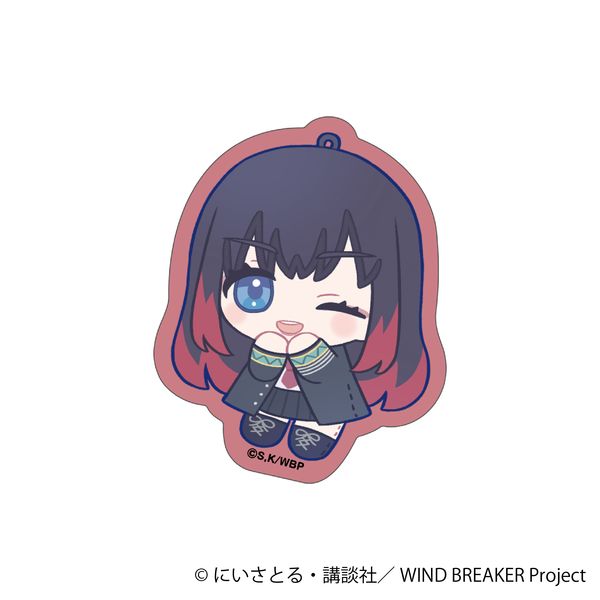 WIND BREAKER XebJ[ ֖C ʂp 