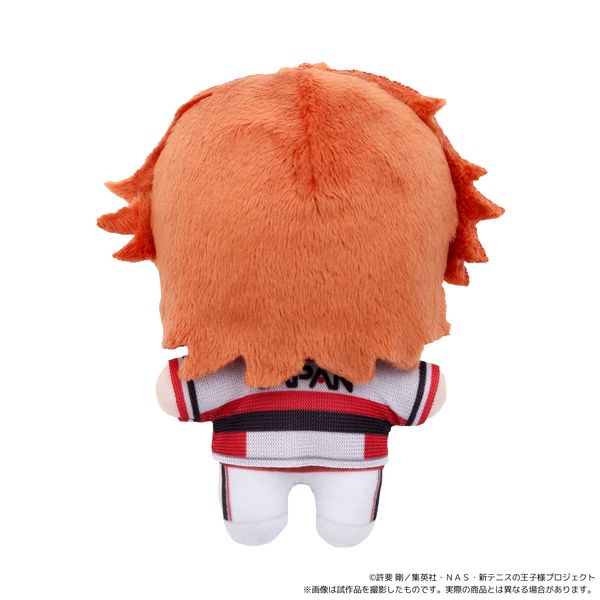 LL画像2