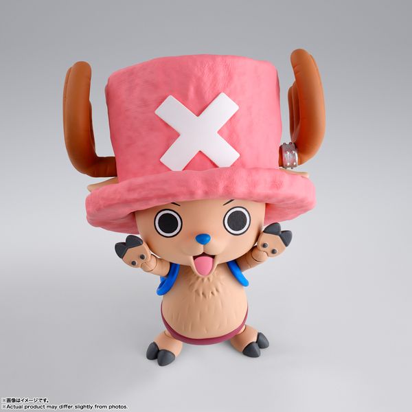 ONE PIECE S.H.Figuarts gj[gj[E`bp[ -h-