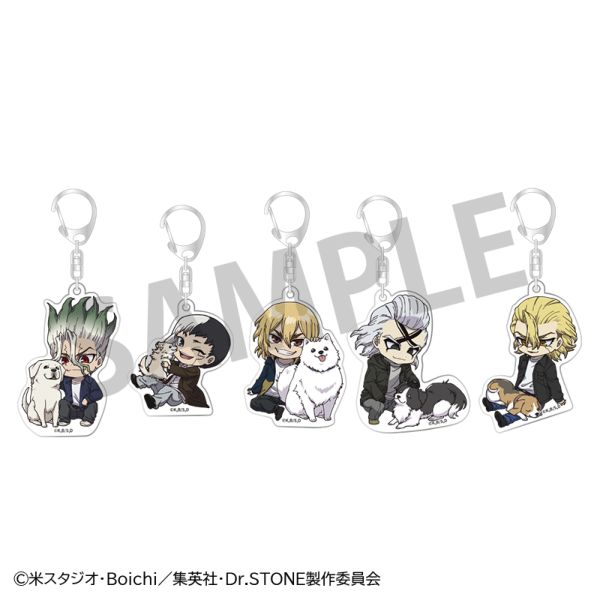 �yJF2026��s�̔��z Dr.STONE �g���[�f�B���O�A�N�����L�[�z���_�[ with Dogs �݂� ver. �y1BOX�z