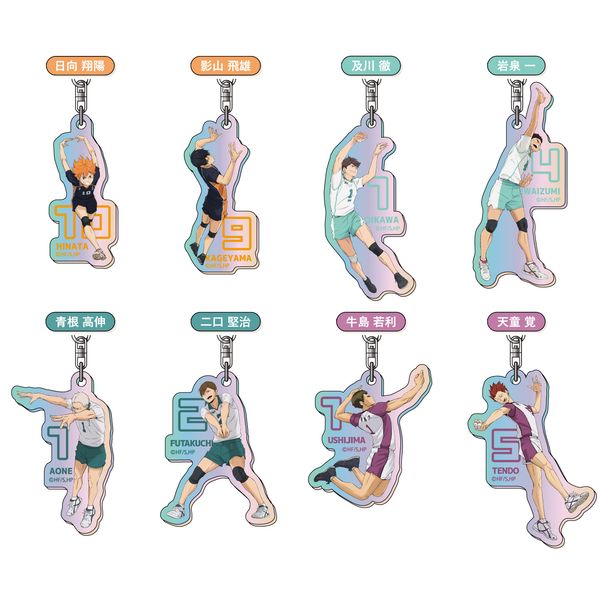 ハイキュー!! オーロラアクリルキーホルダー Vol.1 【1BOX】