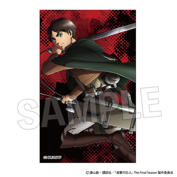 i̋l ANJ[hX^hyOՁz G