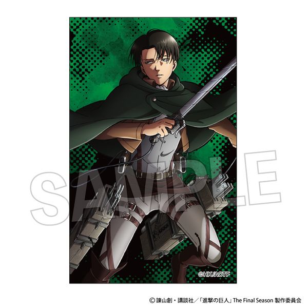 i̋l ANJ[hX^hyOՁz @C