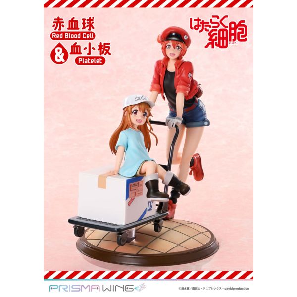 ͂炭זE!! PRISMA WING Ԍ